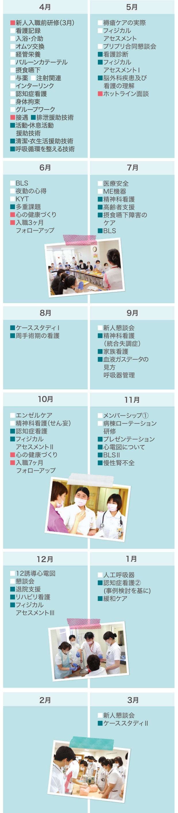 年間の新人教育プログラム