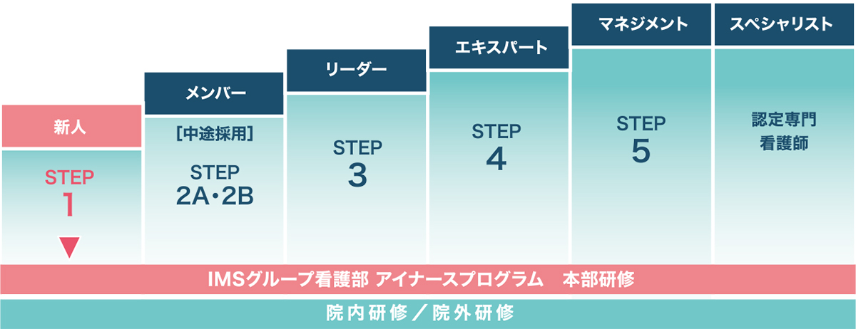 キャリアラダー